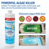 Doheny's Doheny's Super Algaecide Plus | 100% Professional-Grade | Effective