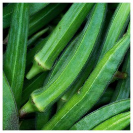 Everwilde Farms - 1 Oz Organic Cowhorn Okra Seeds - Gold Vault Packet