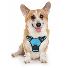 rabbitgoo Dog Harness, No-Pull Pet Harness with 2 Leash Clips, Adjustable Soft Padded Dog Vest, Reflective No-Choke Pet Oxford Vest with Easy Control Handle for Medium Dogs, Blue, M