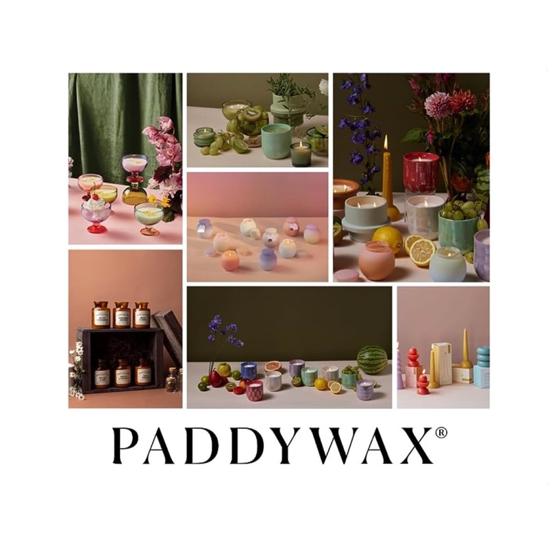 Paddywax Petite Collection Scented Oil Reed Diffuser, Mini - 1.5-Ounce,