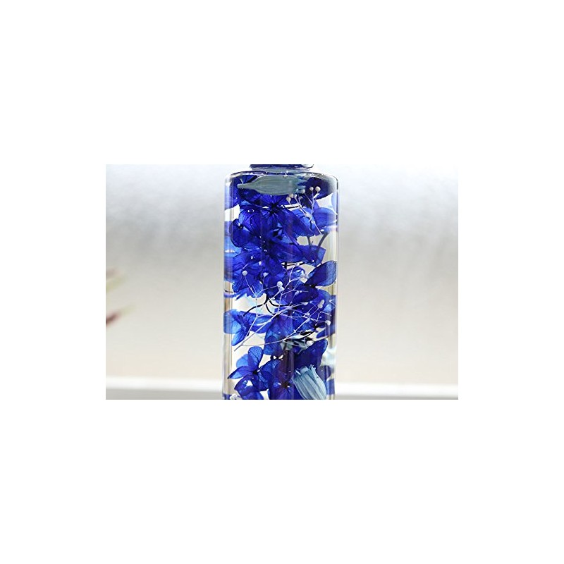 Hortus siccus Blue Colors Series 紫陽花 Daisy Mini Gypsophila Herbarium