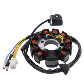 WOOSTAR 11 Coil 7 Wire Ignition Stator Magneto Replacement for Kurazai Surfer 125 2011-201 GY6 150cc Scooter Engine