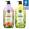 Aekyung [애경] 샤워메이트 보타닉 바디워시 1.2kg x2개 [카렌둘라 x2개] [Aekyung] Shower Mate Botanic Body Wash 1.2kg x2 [Calendula x2]