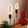 OSRAM Vintage 1906 Globe 80 Filament O Lamp, 4W, 220lm,