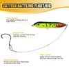 Catfish Rig with Rattle Float, Pre-Assembled Fishing Rig for Catfish,