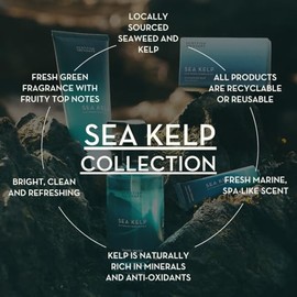 Scottish Fine Soaps Sea Kelp Conditioner 300ml – Mineral-rich Hydrating Hair Conditioner with Sea Kelp, Avocado Oil and Jojoba Oil