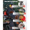 Carburetor Carb Kit Fit for 46cc Craftsman Backpack Blower CM46BT
