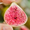 Freeze-dried FIG Baked snow Crisp fruit Dried FIG dried dehydrated