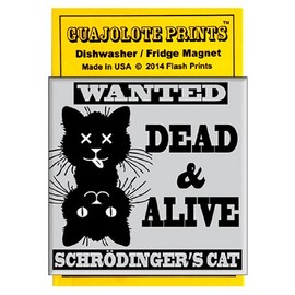 Dishwasher Magnet Clean Dirty Sign, Strong Clean and Dirty Magnet for Dishwasher (Funny Schrodinger's Cat)