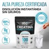 Creatina Monohidratada Micronizada Polvo 100 Alta Pureza Certificada Sabor Disuelve