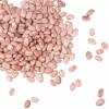 Kelley Bean Commercial 20 lb. Dried Pinto Beans Kitchen Restaurant
