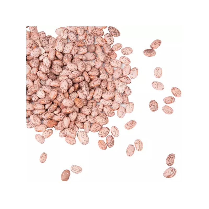 Kelley Bean Commercial 20 lb. Dried Pinto Beans Kitchen Restaurant