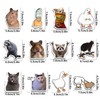 Dokpav 24 PCS Funny Fridge Magnets, Meme Animals Refrigerator Magnetic