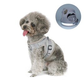 Dog Harness Set with Lead, Dog & Cat, Small Soft Vest, Adjustable Safe Control, Puppy Harness Vest & Reflective Strips, Adjustable Harness (S, Grey)