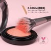 DUcare Cheek Brush, Stiplling Brush, 188 Brushes, Powder Foundation Brush,