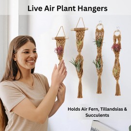 Shineloha 4 Pack Air Plants Holders, Wall Planters for Indoor Plants | Macrame Plant Hanger, Air Plant Hanger for Air Fern, Tillandsias, Live Houseplants & Succulent (NO Plant Included)