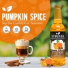 Syruvia Pumpkin Spice Syrup – Pumpkin Spice Coffee Syrup Flavor,