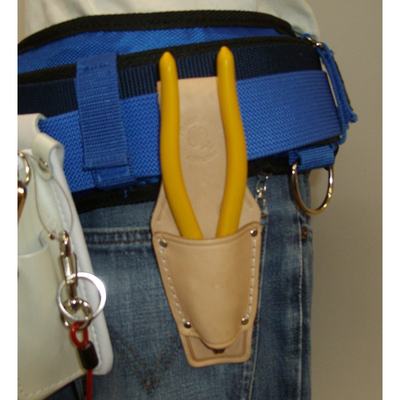 Kozuchi SP – 61 koduti Case Series Pointing Pointing 8