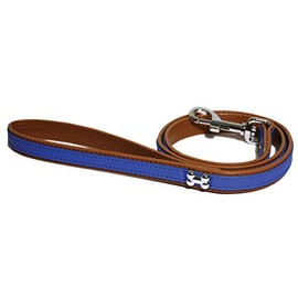 Rosewood Wag n Walk Designer Dog Lead Royal, 40 x 3/4-inch