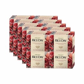 Rice Day Lion Rice Day Rice Soap Oil 100g x 4 x 5 (WB6A236) / 라이온 라이스데이 쌀비누 유 100g x 4개 X 5개 (WB6A236)