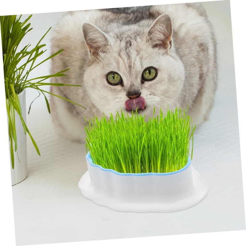 Mipcase 2pcs Cat Grass Planter Boxes Hydroponic Catnip Planting Kit