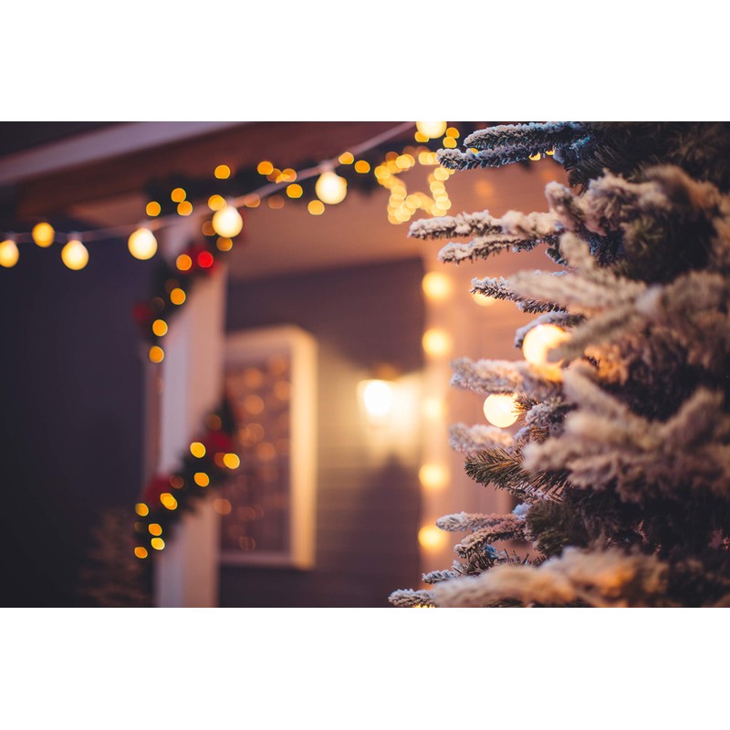 Legrand LEG95860 NF Daily Timer Switch