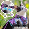 Cat Harness and Leash for Walking, The Upgrade Can be