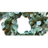 Green Eucalyptus Leafy Garland with Optional LED Lights Great for