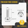 DTGN M6x20mm Pan Head Torx Security Screw - 20Pack -