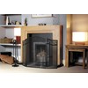 Fire Beauty Fireplace Screen for Wood Burning Fireplace Foldable 3