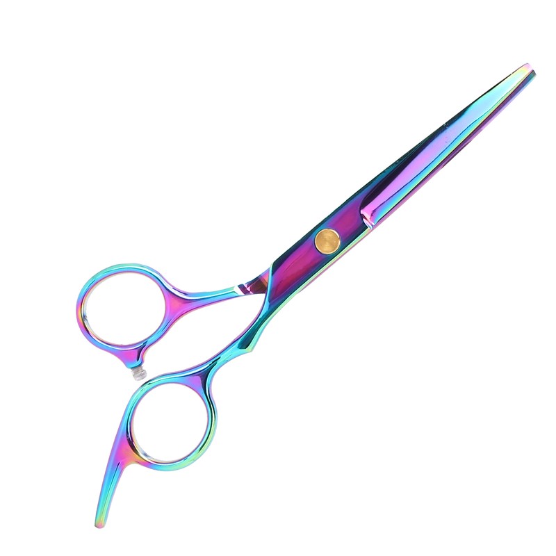 Professional Hair Scissors Barber Hair Cutting Shears Stainless Steel Hairdressing