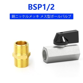TAILONZ 1/4PT Copper Nickel Plated Ball Valve, Mini Ball Valve, 1/4PT Male x 1/4PT Male Globe Valve for Water, Oil and Gas