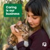Natural Animal Solutions Calming Chewable Tablets for Dogs Anxiety Support.