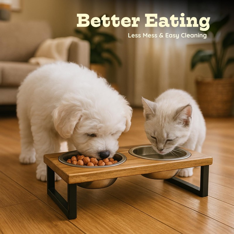 AASPIRE PETS Elevated Dog Bowls, 4” Small Dogs & Cats