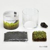 Seishin Pottery GD-934 Growing Kit, Glastmoss L, Clear