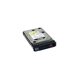 HP 1 TB 3.5in Internal Hard Drive 454273-001 (Renewed)
