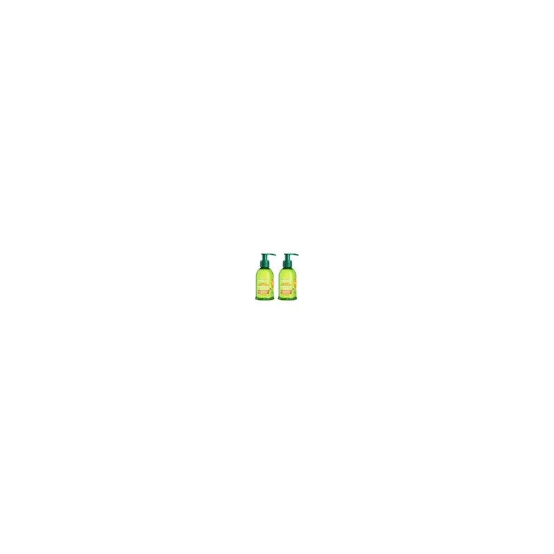 Sérum Anti Frizz Garnier Fructis Sleek & Shine, Frizzy 2pack