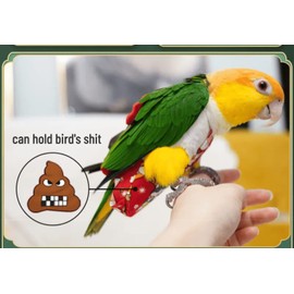 Bird Flight Suit Diapers for Monk Parakeets, Cockatiels - Parrot Clothes, Training Nappy Suit Liners (Large, Red-B)