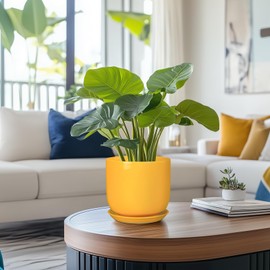 SUNPOTFOR Indoor Plant Pot - 7 Inch Modern Round Ceramic Planter for Indoor Outdoor Plants with Drainage Hole and Saucer, Home Garden Office House Decor, Yellow