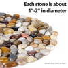Natural River Rock Stepping Stones for Garden Walkway - Round