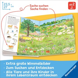 Mein grosses Sachen suchen: Alle Tiere der Welt