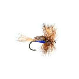 Fly Fishing Flies by Colorado Fly Supply - Humpy Dry Fly Blue - Best Performing Dry Flies - Classic Dry Fly Patterns - 3-Pack of Fly Fishing Flies and Lures - Flies for Fishermen