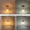 Shenmoyl Pendant Light 2 Pack with Amber Tulip Glass Lmapshade,
