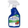 Rust-Oleum 278146 Shield H2O Outdoor Fabric Spray, 11 oz, Clear