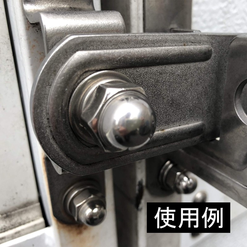 BP Stainless Steel Bag Nut M8 Pack of 20