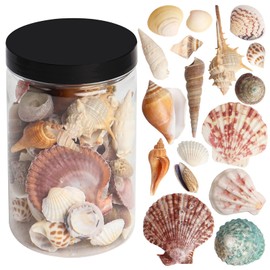 HAPY SHOP Mixed Sea Shells 250 g Shells Various Size up to 2.5 in Seashells Bulk with Box Shells for Crafts,Tank Vase Filler,Beach Theme Party,Home Decor,Resin Decoration(60-70 pcs)