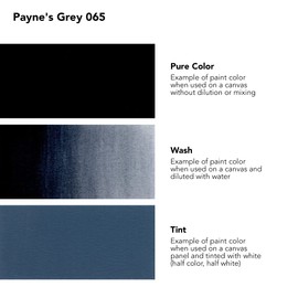 Daler Rowney System3 Paynes Grey 250ml Fluid Acrylic Paint Bottle - Acrylic Pouring Paint Supplies for Artists and Students - Vivid High-Flow Artist Paint for Canvas Murals and More