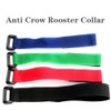 Tkocisa 8 Pack No Crow Rooster Collars, Chicken Collar Anti-Hook