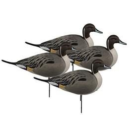 Avery Hunting Gear Over-Size Pintail FB-Active Pack (4 Pack)