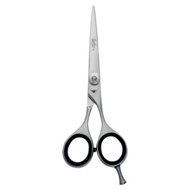 Professional Hair Cutting Beauty Scissors Best Steel Hairdressing Scissors Shears for Beauty/Salon Sandbros BS 5.5"